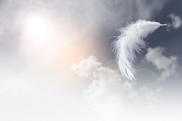 Wall Mural - light fluffy a white feather floating in the sky with cloudy.