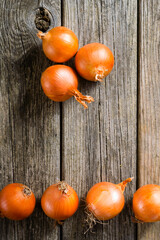 Wall Mural - onions on weathered old wood table background