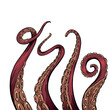© veleri_kz - Set of color cartoon sketches of octopus tentacles. Creepy limbs of marine inhabitants. Vector object for logos, tattoos, cards and your design.