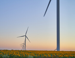 wind generators generate energy against the sky