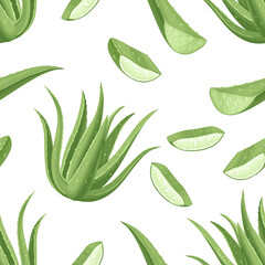 Wall Mural - Seamless pattern with aloe vera plant, leaves and slices. Vector illustration of a medicinal plant on a white background. Cartoon flat style.