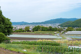 Fototapeta Na ścianę - Landscape view from Shugakuin Imperial Villa (Shugakuin Rikyu) in Kyoto, Japan.