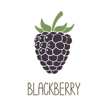 Cute Purple Caption Blackberry Isolated On Transparent Background. Colorful Pictogram Original Design. Can Be Used For Infographics, Identity Or Decoration. Vector Shabby Hand Drawn Illustration