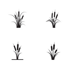 Reeds Icon Vector Design Template
