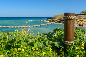 Marine (nautical) rope tied to a wooden pole by the sea, yellow flowers, green leaves on a sunny day