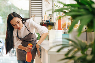 Poster - Pretty young Vietnamese coffeeshop owner cleaning every nook in cafe with disinfecting detergent when getting ready for opening after quarantine