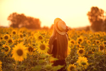 Girl In A Field Of Sunflowers At Sunset