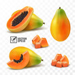 3d realistic transparent isolated vector set, whole and slice of papaya fruit, a bunch of papaya