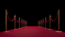 Red Carpet Enterance. Private Event. Film Festival. Celebrities