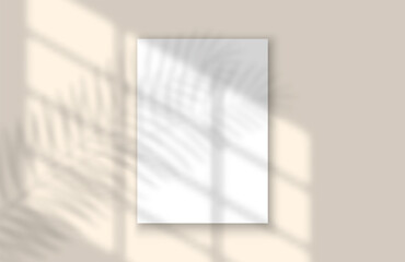 window and leaf realistic shadow mock up template. tropical leaf and light from window overlay mocku