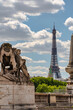 © Pierre vincent - Panorama of the Eiffel Tower in Paris, France.