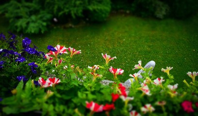 Fototapete - Blumen auf dem Balkon mit Blick auf den Garten