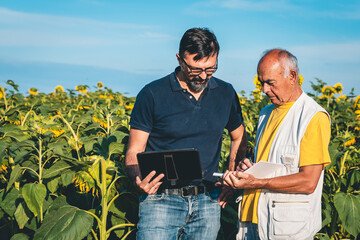 two men, a father and a son, inspect a field of sunflowers and enter data into a tablet computer