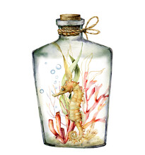 Watercolor Underwater World In The Glass Bottle. Hand Painted Seahorse, Corals And Laminaria Illustration Isolated On White Background. Aquatic Illustration For Design, Print Or Background.