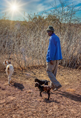 Wall Mural - african herdsman