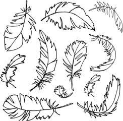 Isolated FEATHERS on white, hand drawn, black and white. Vector EPS 10. Use for print on greeting card, invitations, dishes, textiles, wedding, books, wallpapers, fabric, illustration, decor.