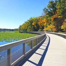 Fall Path Along A Lake