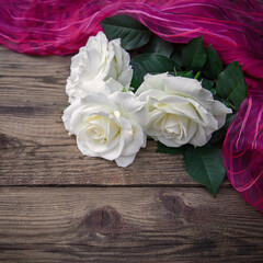 Poster - White roses on a wooden background