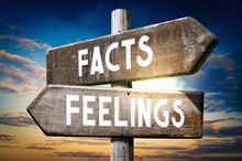 Facts, Feelings - Wooden Signpost, Roadsign With Two Arrows