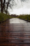 Fototapeta Natura - wooden bridge over river