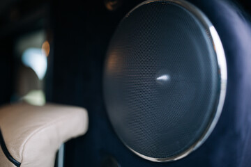 Wall Mural - Round speakers in a modern car