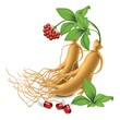 ginseng and supplement capsules