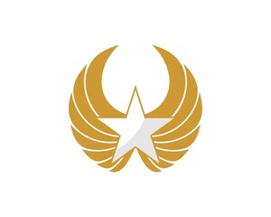 Wall Mural - Abstract wing with star shape inside