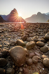 Wall Mural - Milford Sound's Rocky Beach