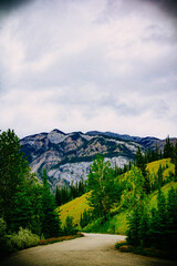 mountain road in the mountains