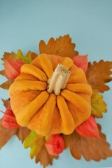 Thanksgiving holiday.Autumn harvest. Pumpkin season.  orange pumpkin and physalis with brown oak leaves on a  blue background. October and November. Symbols of autumn.Fall season