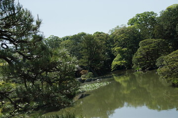 Canvas Print - 京都　桂　20150511