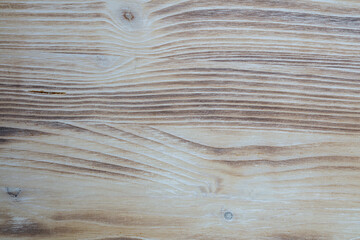 Wall Mural - texture of wood