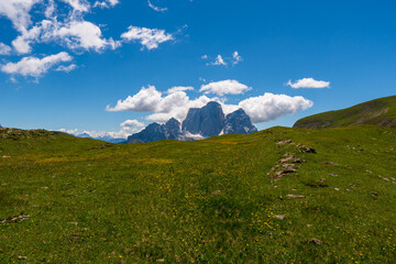 Wall Mural - view of idyllic mountain scenery in the Alps with fresh green meadows in bloom on a beautiful sunny day in springtime, National Park Dolomite, Italy