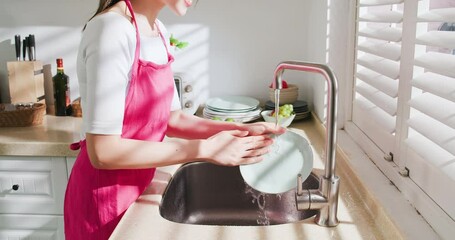 Wall Mural - Asian housewife wash dishes