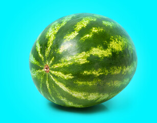 Wall Mural - One watermelon isolated