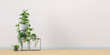 canvas print picture - Pflanzen vor Wand mit Textfreiraum