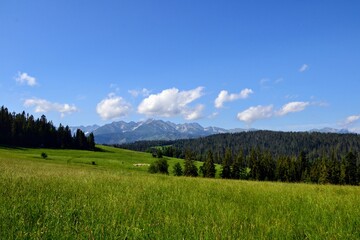 Wall Mural - Tatra Mountains panorama seen from viewing point near Bukowina Tatrzanska. Gorgeous mountain range with high rocky peaks. Tatra Mountains and green farming fields in sunny summer day, Podhale, Poland 