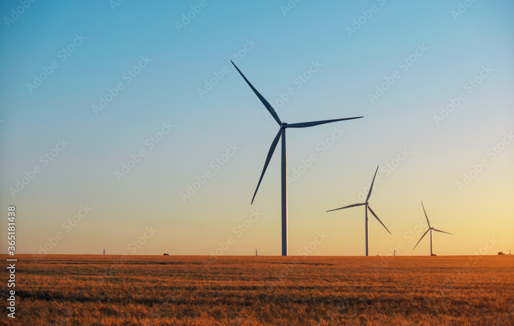 Wind turbines and agricultural field on a summer day. Energy production, clean and renewable energy. - obrazy, fototapety, plakaty 