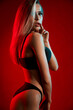 © serhiibobyk - Sexy female model posing in underwear.