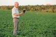 © Serhii - Senior farmer standing in soybean field examining crop at sunset.