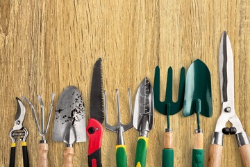 Poster - Row of gardening tools on wooden desk