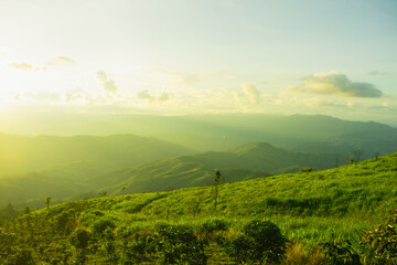 Wall Mural - sunset and mountains interspersed with green grass