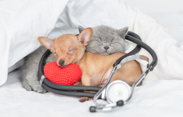 Poster - Gray kitten and toy terrier puppy sleep with red heart and stethoscope under white blanket on a bed at home