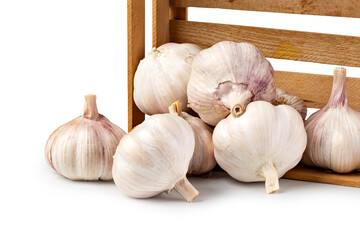 Wall Mural - Garlic on white background