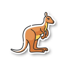 Wall Mural - kangaroo patch. exotic wallaby, wild wallaroo. tropical zoo inhabitant. australian fauna, zoology rg