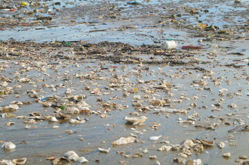 Beach scenery