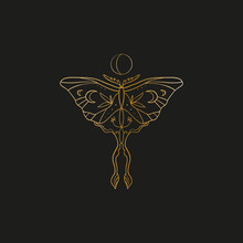Sacred Line Geometric Symbol With Butterfly And Moon Phase, Gold Figure On Black Background. Abstract Mystic Geometry. Vector Illustration.