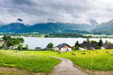 Sticker - Morning mist over Wolfgangsee in Austria.