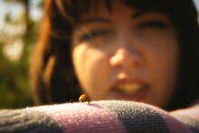 Close-up Of Ladybug On Woman Sweater