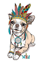 Cute Long-hair Chihuahua With Accessories In Ethnic Style. Boho Style Dog Sketch. Dog In Indian Headdress. Stylish Image For Printing On Any Surface